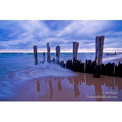 Todd Reed\'s Day 303 of 365 