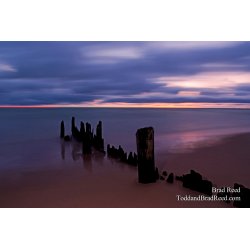 Brad Reed\'s Day 303 of 365 
