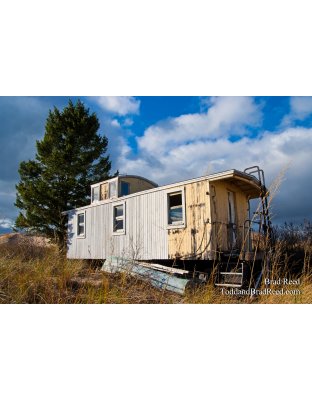 Brad Reed's Day 304 of 365 