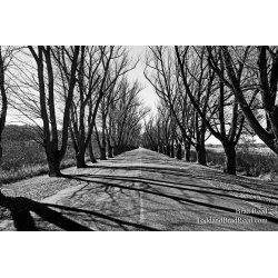Brad Reed\'s Day 305 of 365 