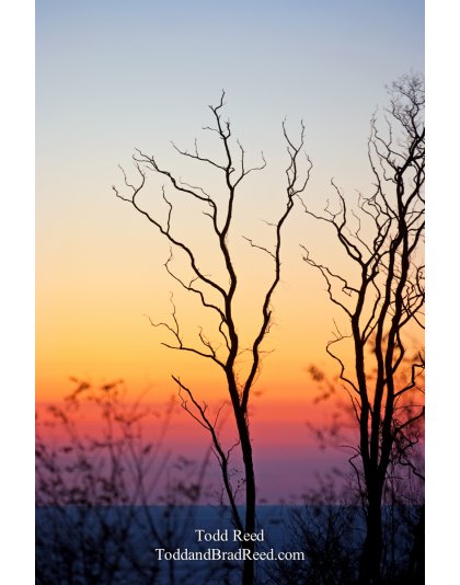 Todd Reed's Day 306 of 365 