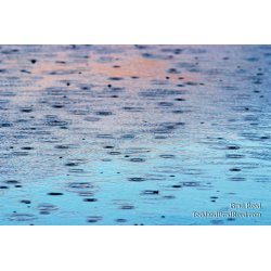 Brad Reed\'s Day 308 of 365 