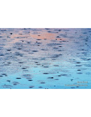 Brad Reed's Day 308 of 365 