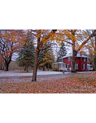 Brad Reed's Day 309 of 365 