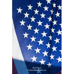Brad Reed\'s Day 310 of 365 