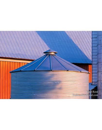 Todd Reed's Day 311 of 365 