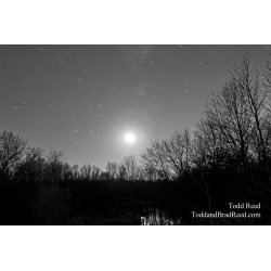 Todd Reed\'s Day 313 of 365 