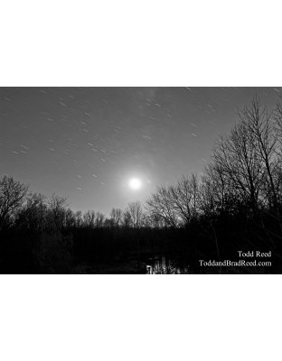 Todd Reed's Day 313 of 365 