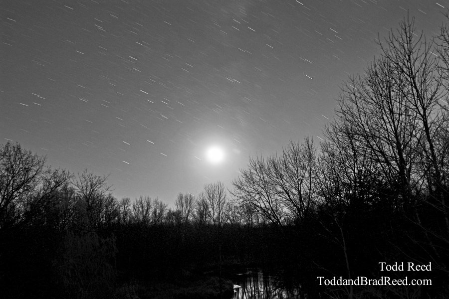 Todd Reed's Day 313 of 365 
