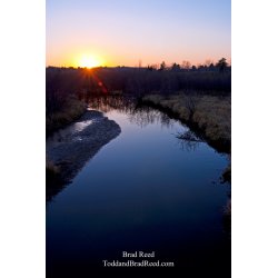 Brad Reed\'s Day 313 of 365 