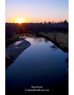 Brad Reed's Day 313 of 365 