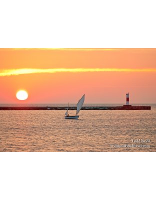 Todd Reed's Day 314 of 365 