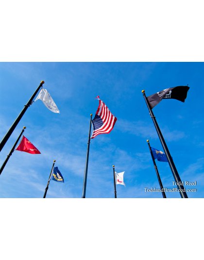 Todd Reed's Day 315 of 365 