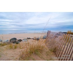 Todd Reed\'s Day 316 of 365 