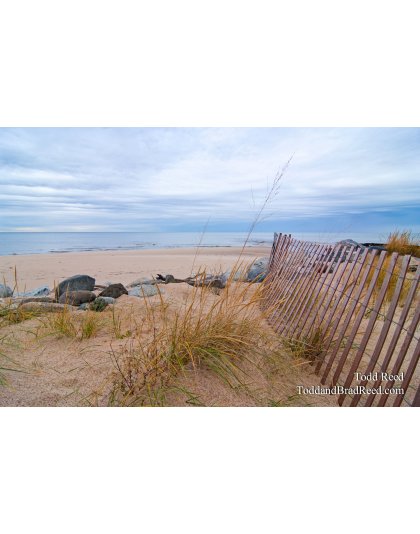 Todd Reed's Day 316 of 365 