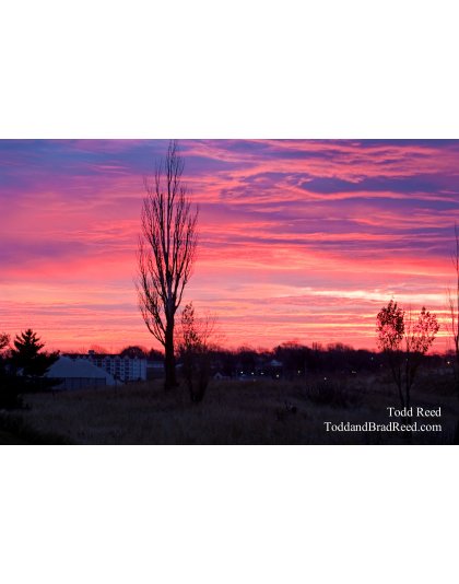 Todd Reed's Day 317 of 365 