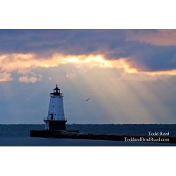 Todd Reed\'s Day 322 of 365 