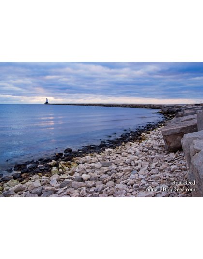 Brad Reed's Day 322 of 365 