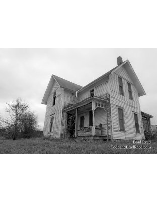 Brad Reed's Day 323 of 365 