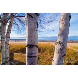 Todd Reed\'s Day 324 of 365 