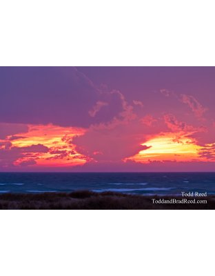 Todd Reed's Day 326 of 365 