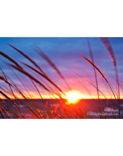 Brad Reed's Day 327 of 365 - November 23, 2010