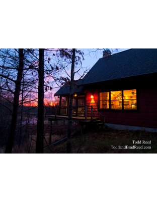 Todd Reed's Day 329 of 365 