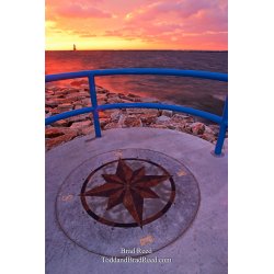 Brad Reed\'s Day 329 of 365 