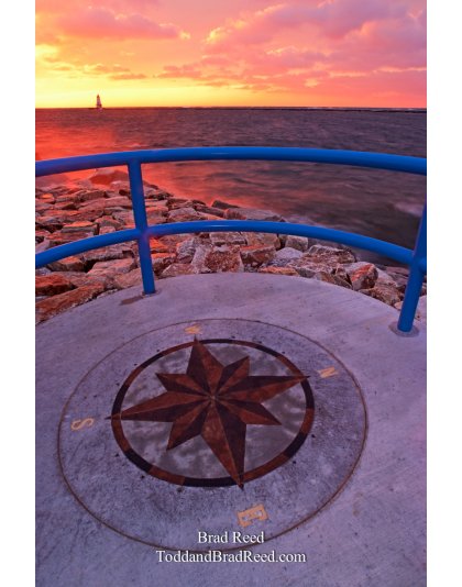 Brad Reed's Day 329 of 365 