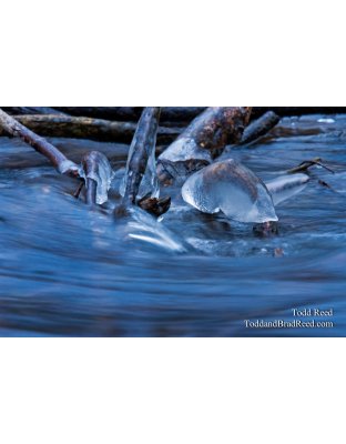 Todd Reed's Day 331 of 365 