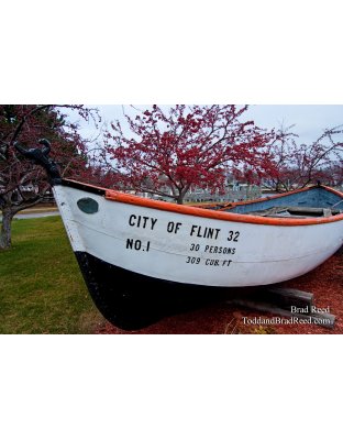 Brad Reed's Day 331 of 365 