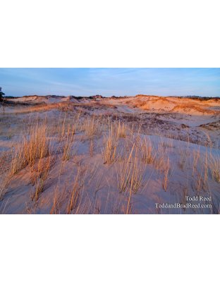 Todd Reed's Day 332 of 365 