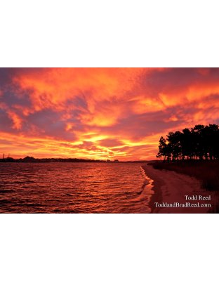 Todd Reed's Day 333 of 365 