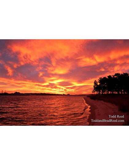 Todd Reed's Day 333 of 365 