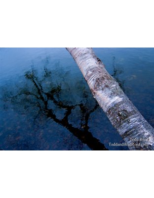 Todd Reed's Day 334 of 365 - November 30, 2010