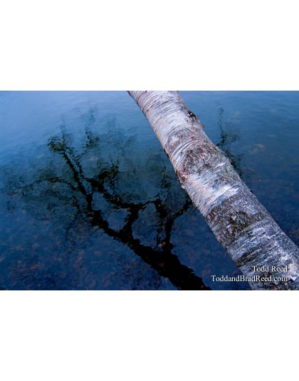 Todd Reed's Day 334 of 365 - November 30, 2010