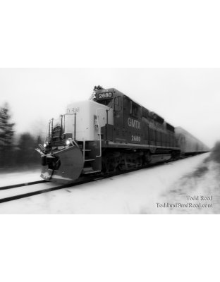 Todd Reed's Day 335 of 365 