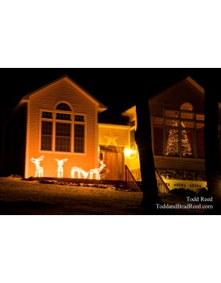 Todd Reed's Day 336 of 365 