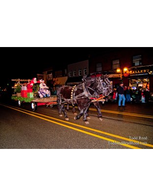 Todd Reed's Day 337 of 365 