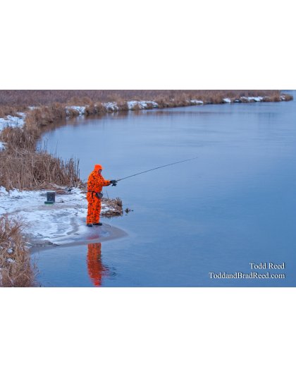 Todd Reed's Day 338 of 365 