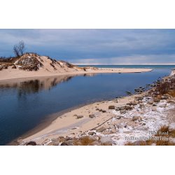 Brad Reed\'s Day 338 of 365 