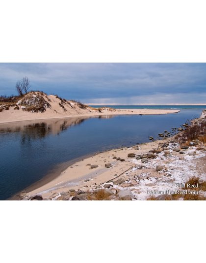 Brad Reed's Day 338 of 365 