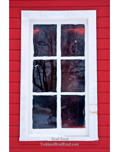 Brad Reed's Day 339 of 365 