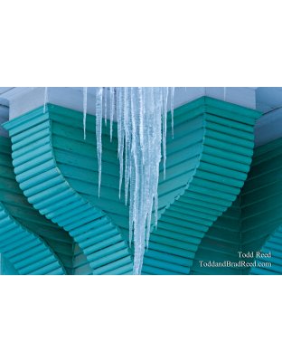 Todd Reed's Day 340 of 365 