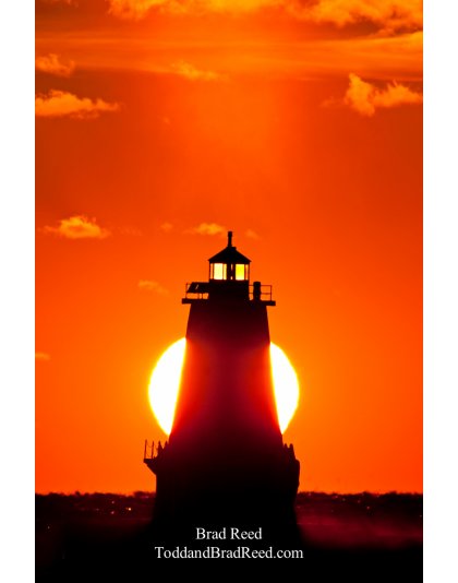 Brad Reed's Day 341 of 365 