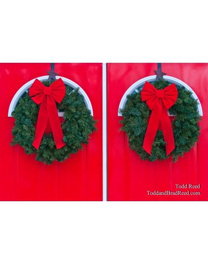 Todd Reed's Day 342 of 365 