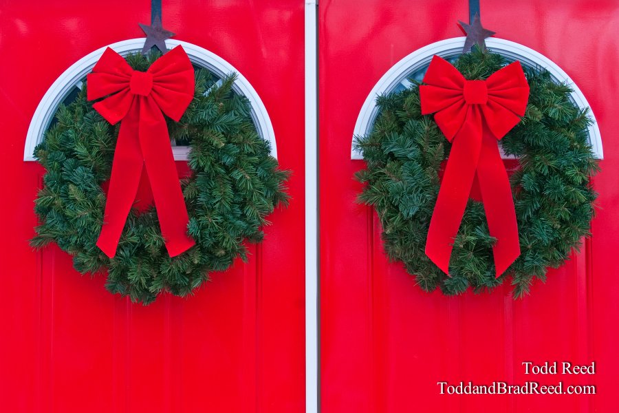 Todd Reed's Day 342 of 365 