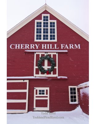 Todd Reed's Day 347 of 365 