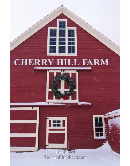 Todd Reed's Day 347 of 365 