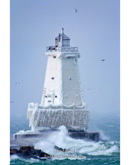 Brad Reed's Day 347 of 365 